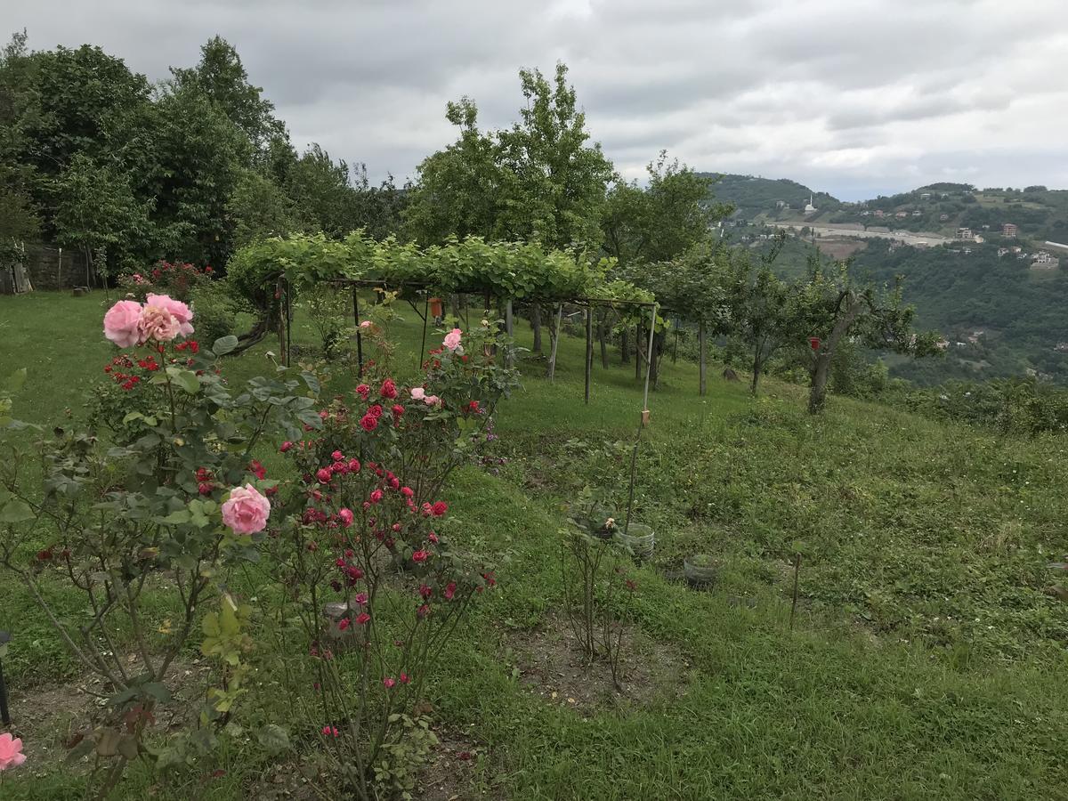 Sea & Nature Villa Hisar Trabzon Exterior foto